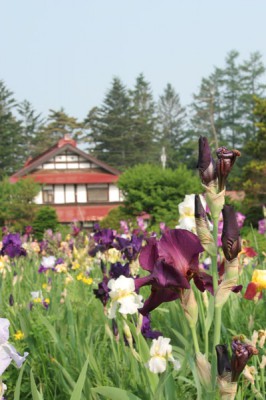 松久園