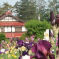 グルメコース（芽室）