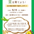 豆の無料配布について