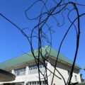 <参加無料>10月の月別工作体験「ハロウィンのリース」